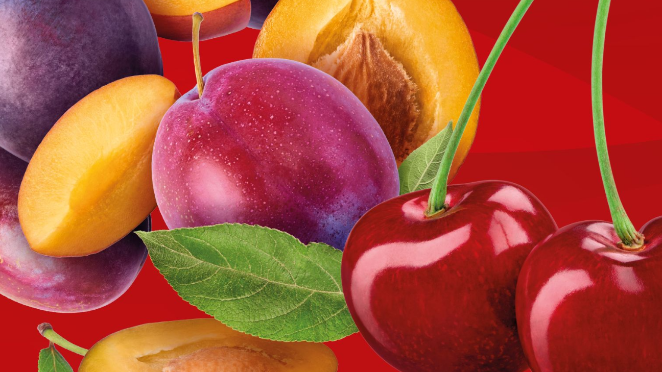 Imagen del artículo: C&L FRUIT SE POSICIONA EN RANKING DE EXPORTADORAS